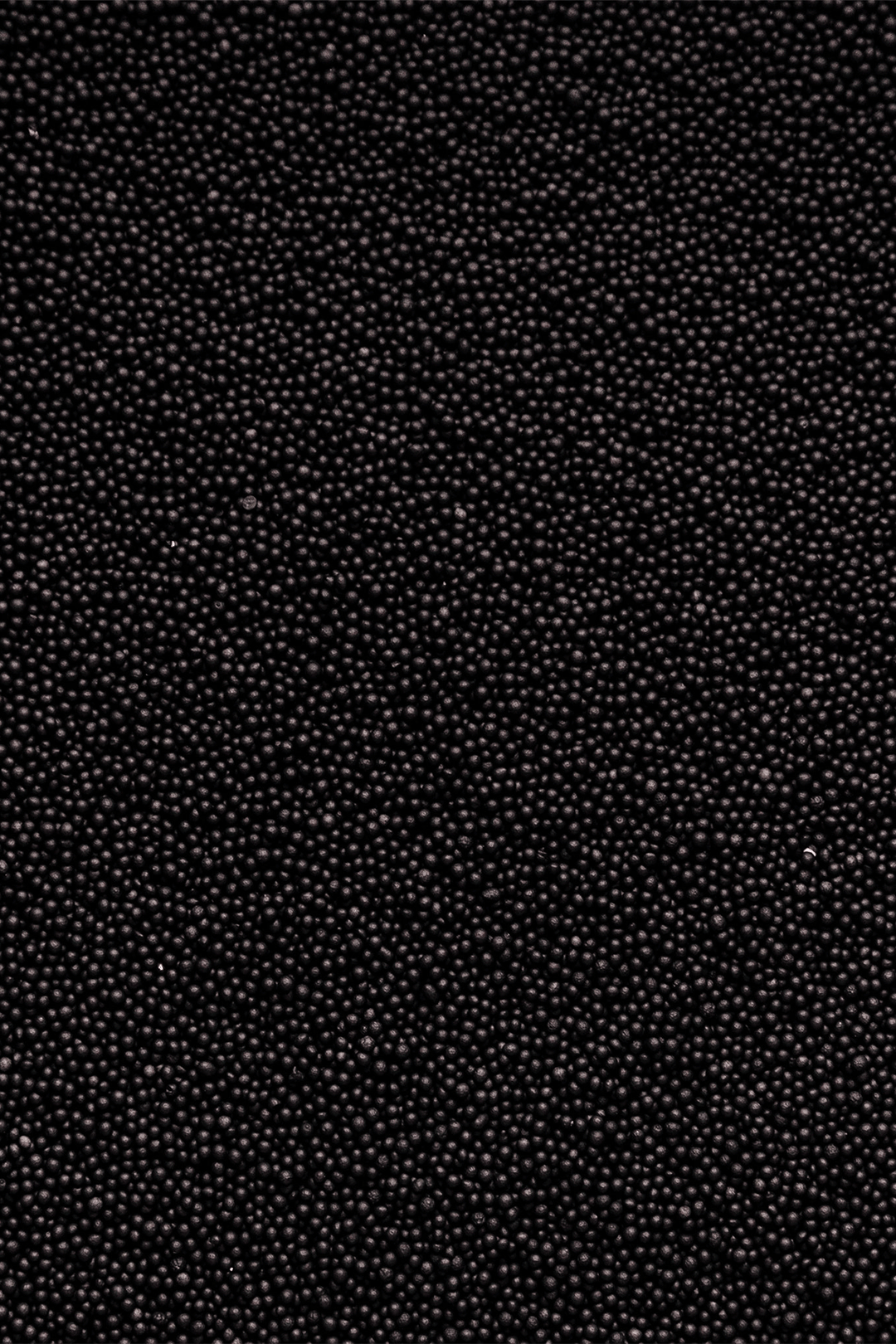 100's & 1000's - Black Sprinkles SPRINKLY