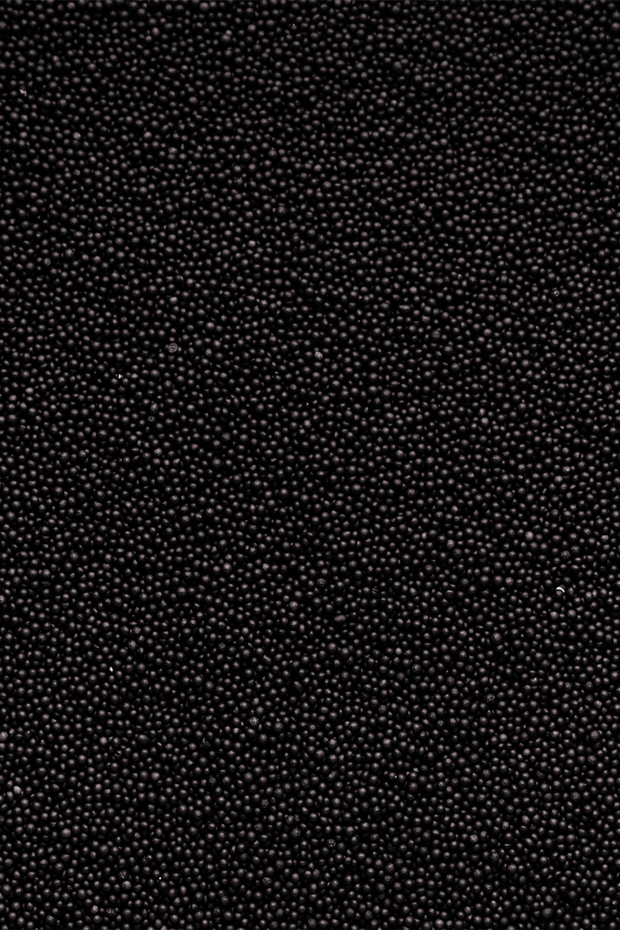 100's & 1000's - Black Sprinkles SPRINKLY