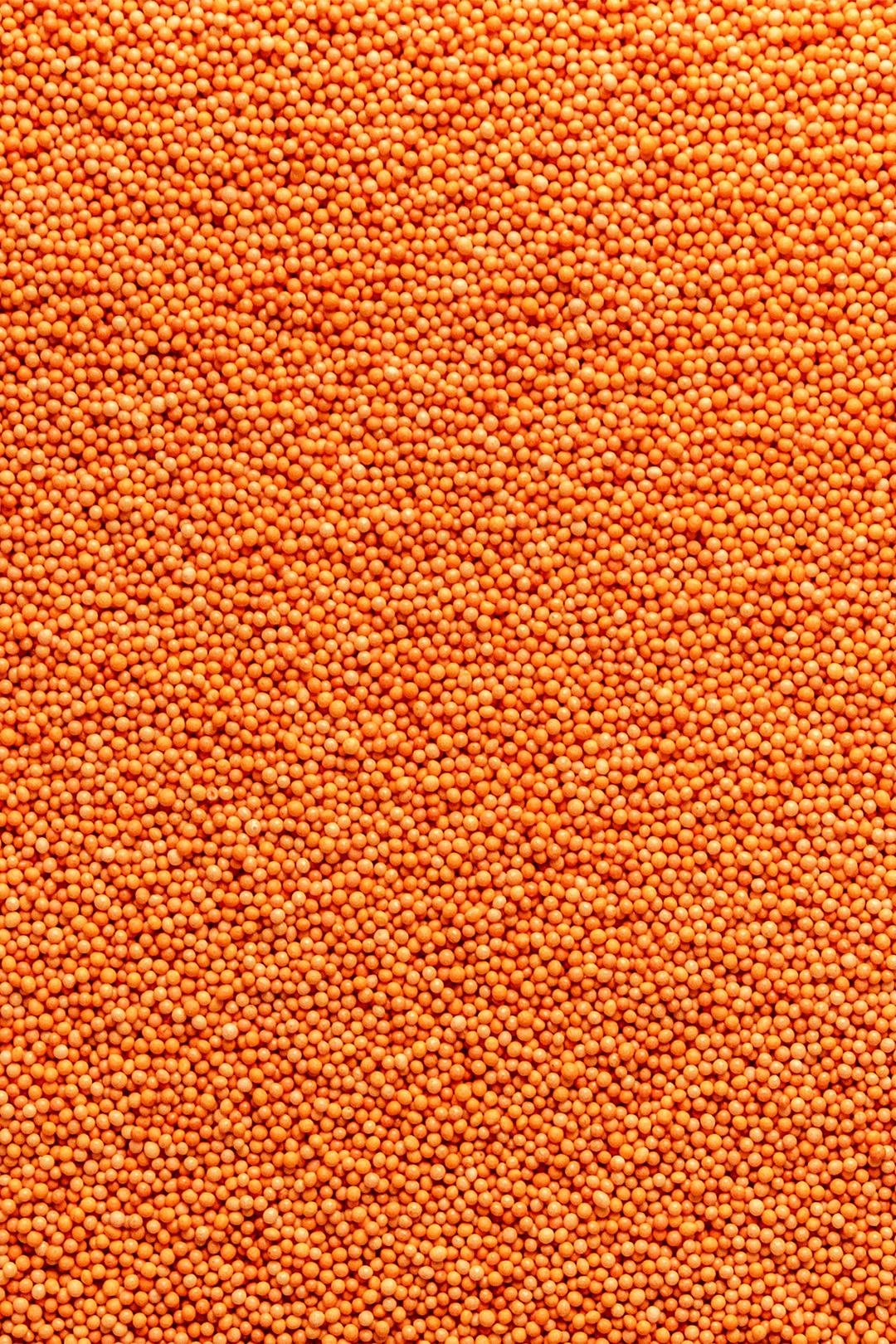 100's & 1000's - Orange Sprinkles SPRINKLY