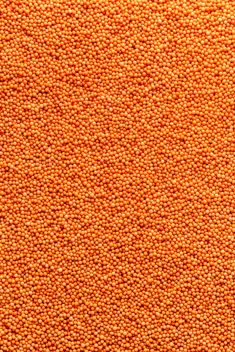 100's & 1000's - Orange Sprinkles SPRINKLY