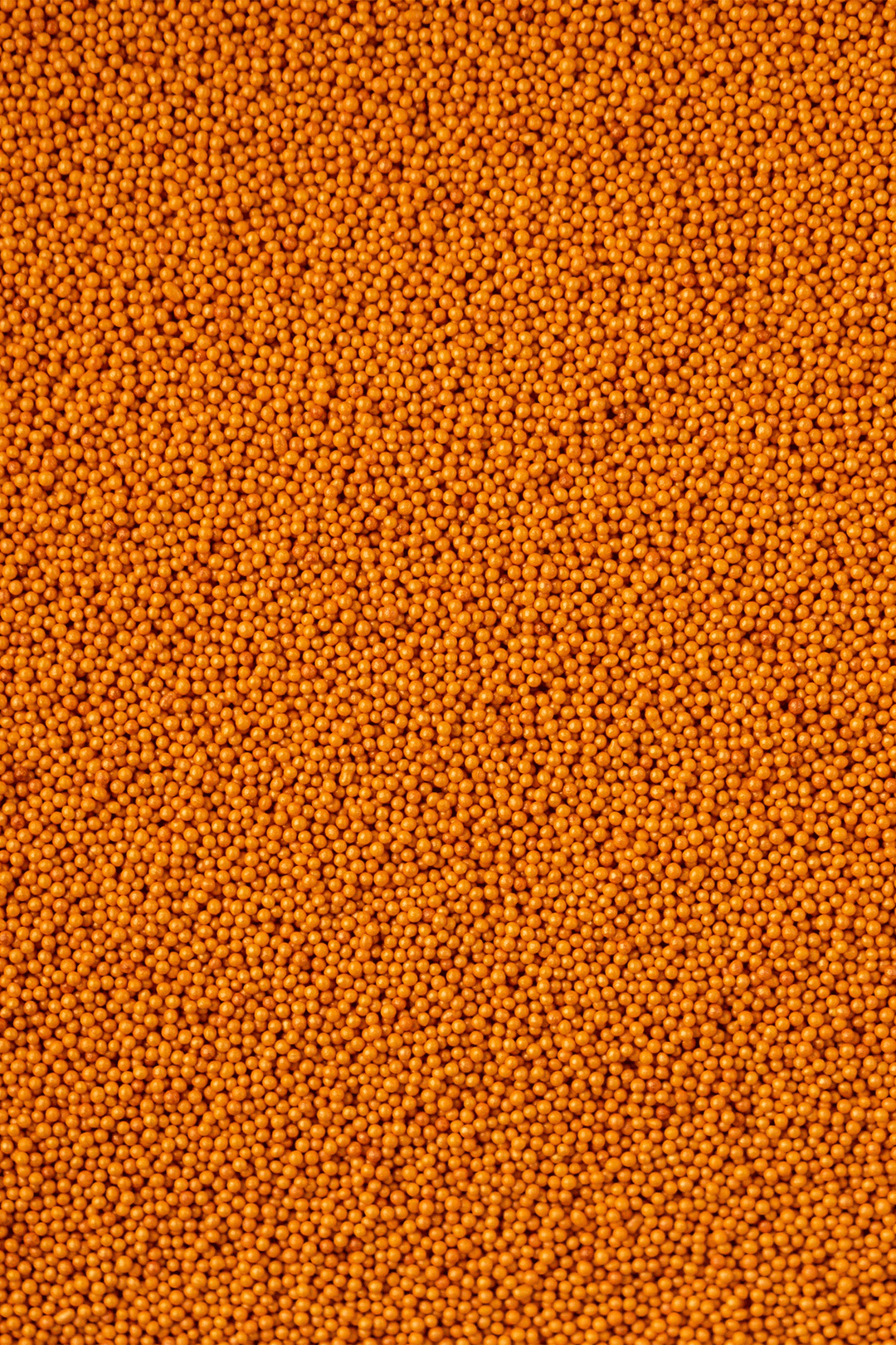 Glimmer 100's & 1000's - Orange Sprinkles Sprinkly