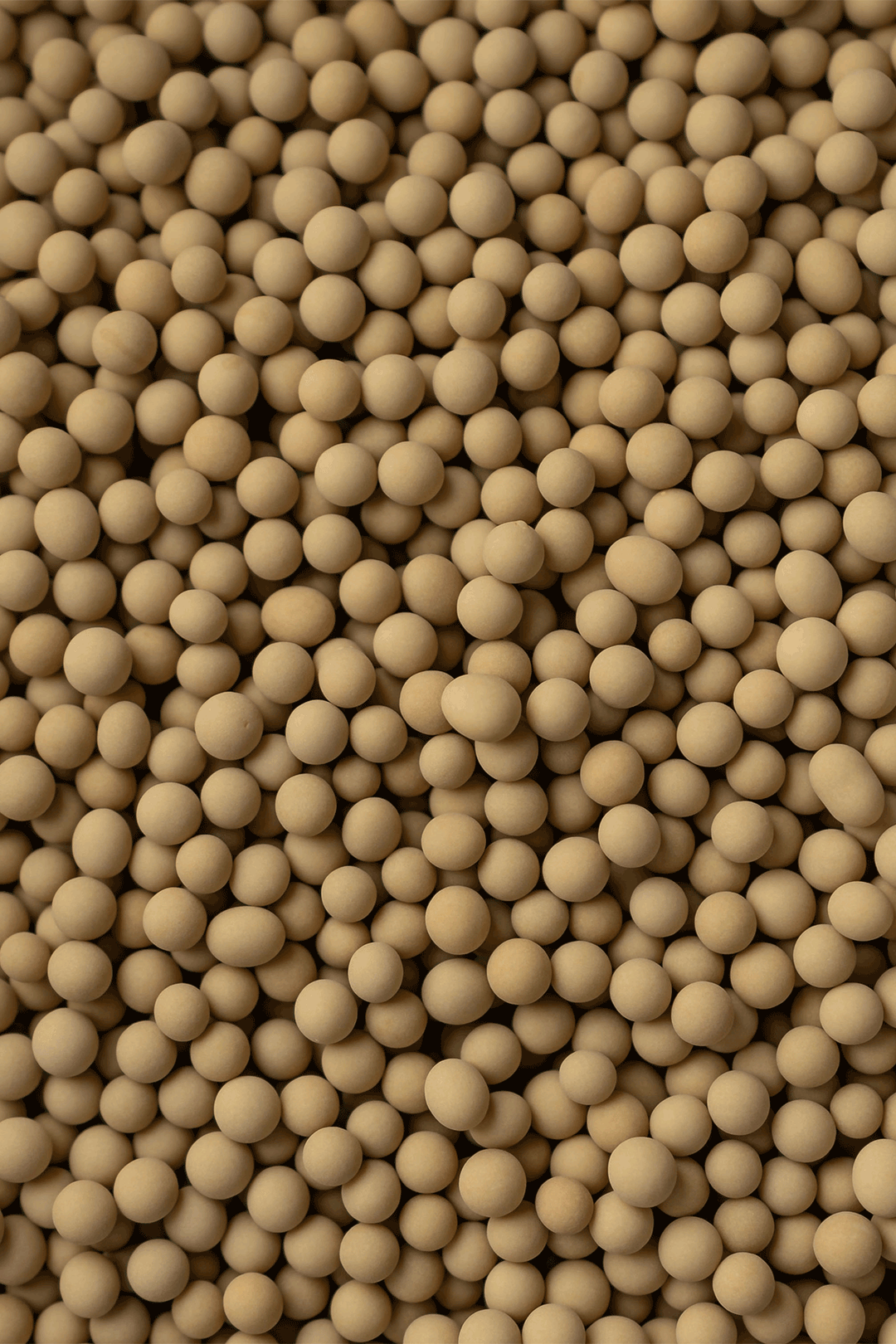 Matt Chocolate Balls - Caramel - (Small/6mm) Sprinkles Sprinkly