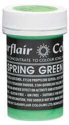 Spring Green Concentrated Pastel Colour Paste 25g - SimplyCakeCraft